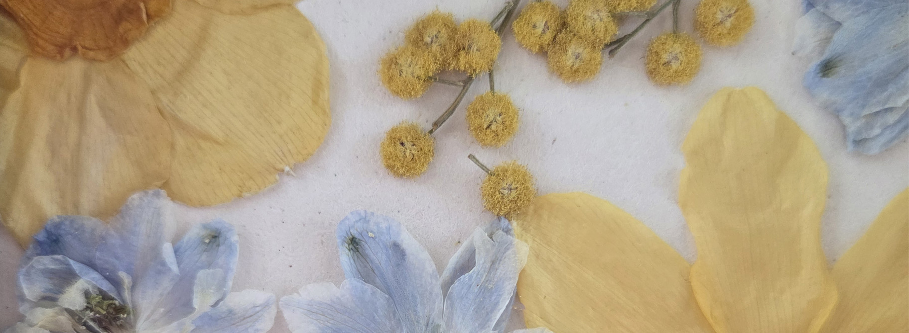Close-up bloemen