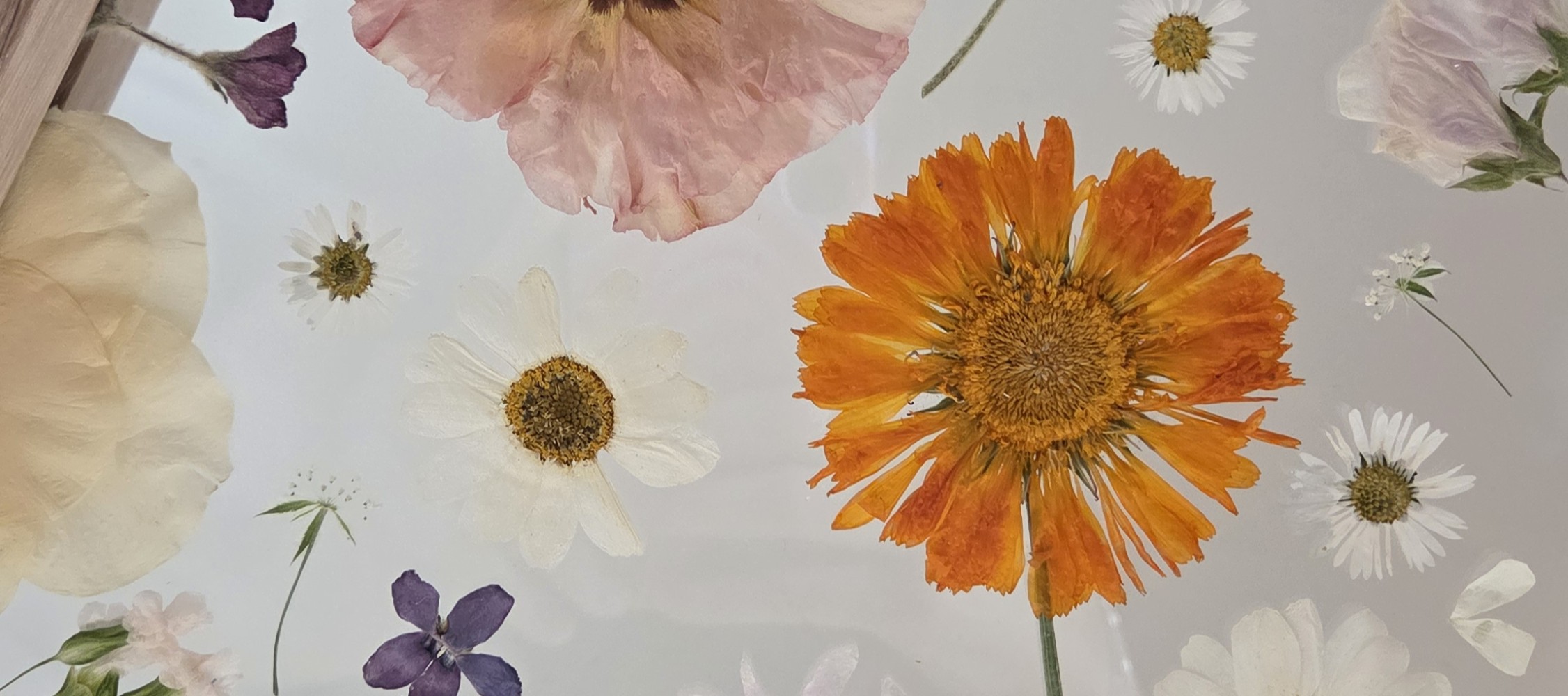 The Bloom Frame