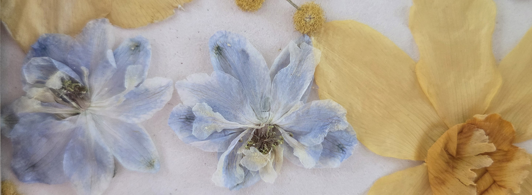 Shadowbox detail